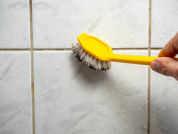 Best Office Mold Removal Services  in Lakeview Estates, GA