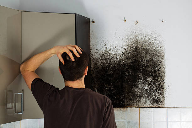 Mold Removal Process in Lakeview Estates, GA